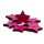 Stern Kn&ouml;pfe Pink 2-Loch aus gef&auml;rbtem Holz 24mm