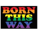 Pride-Fahne "Born this Way" 60*90cm