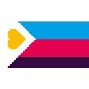 New-Poly Pride Flagge 90*150cm Stolz PRIDE/ CSD