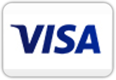 Visa Zahlungsart